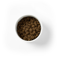 Grain Free Care Plus Adult Sensitive with Ocean Fish 2.5kg