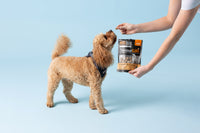 erdsdkkpzmpq1t1wczcdj-bq3ru7tzt1tq5xv l8 jg