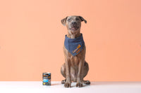 mwhjvj6p2hk7nwybiuomkwq16damjv3dwtxazvkipiw