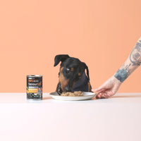 p7rciliehfvvtwvv35xseq7nsixpoec-yaqhwjptnou