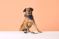 rwokxnrnrnq83lcni6ml29jgifpxd9jdutc1xmdiwu0