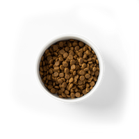 w1imxgejkgxj1d kwdxbytjhgzcjxu1nod3glck2p5e